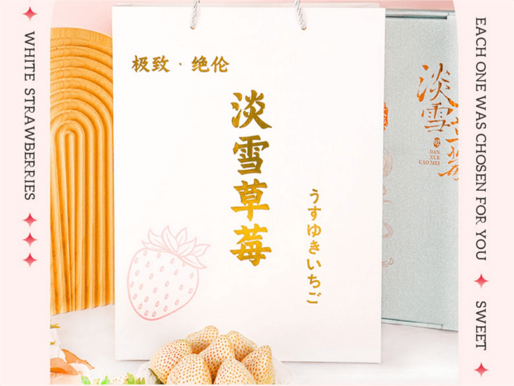 圖片關(guān)鍵詞