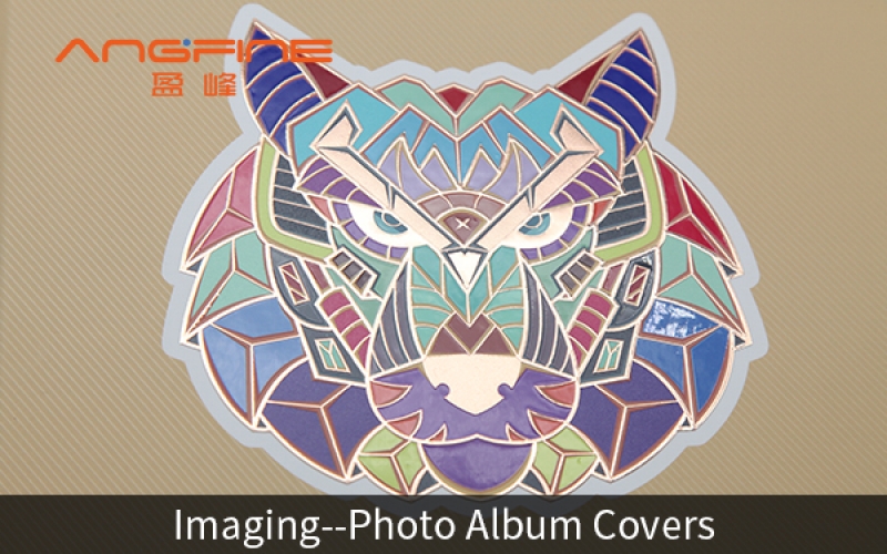 Imaging--Photo Album Covers